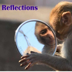 2022-02 Reflections