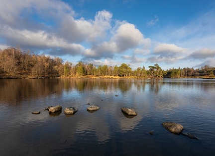 Julie 1 - Tarn Howes wide angle