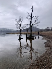 MarieM 3Lakeside walk - Ullswater