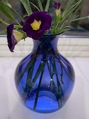 AnneJ - Blue glass vase